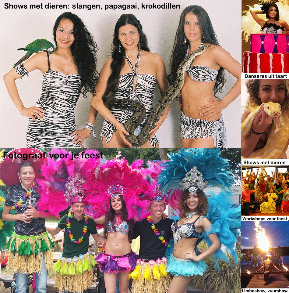 Caribisch live muziek